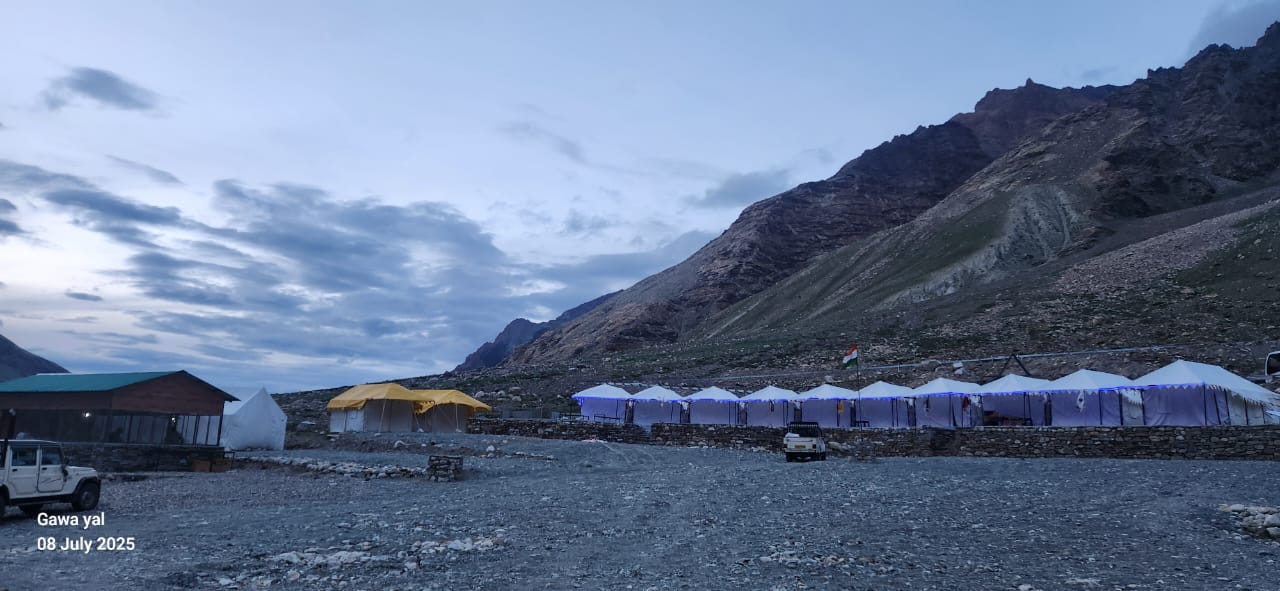 Gold Camping